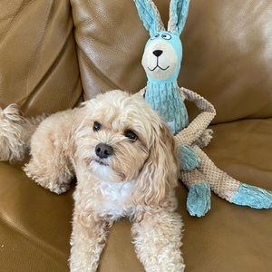 Meet your Posher, Stella